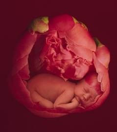 4cfcef3a8da5024bmed.jpg
