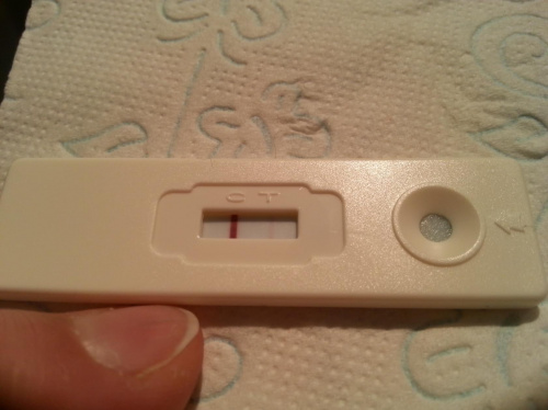 b1de6bf2d42e51b4med.jpg