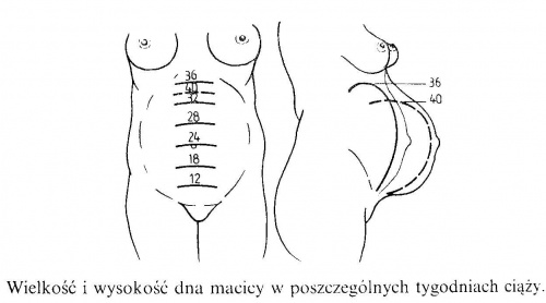 e41227070baad6ecmed.jpg