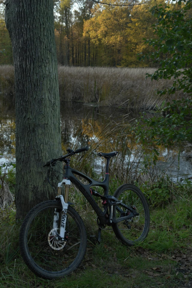 Starorzecze Odry - rower Ibis Hd