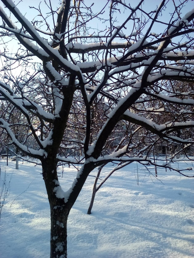 Zima w Polsce/Winter in Poland, Natura 15 236 (autor: jlez)