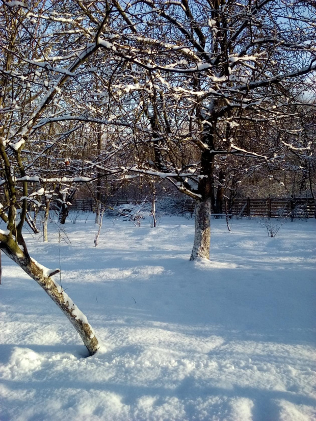 Zima w Polsce/Winter in Poland, Natura 15 257 (autor: jlez)