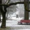 szafa na książki na drugim planie w parku :) takie cuda tylko w Nowej Hucie ;)