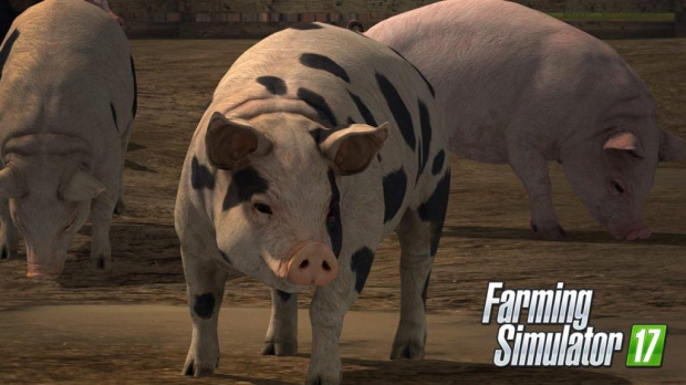 FS 17, fs 17 edycja kolekcjonerska cena, fs 17 kody, sprawdz , http://fanifarmingsimulator17.pl/tag/farming-simulator-2017-spolszczenie/.
