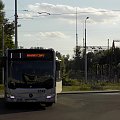 Mercedes-Benz Citaro O530G C2 #8342