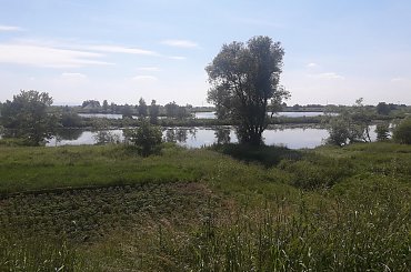 #slonce #krajobraz #natura #niebo