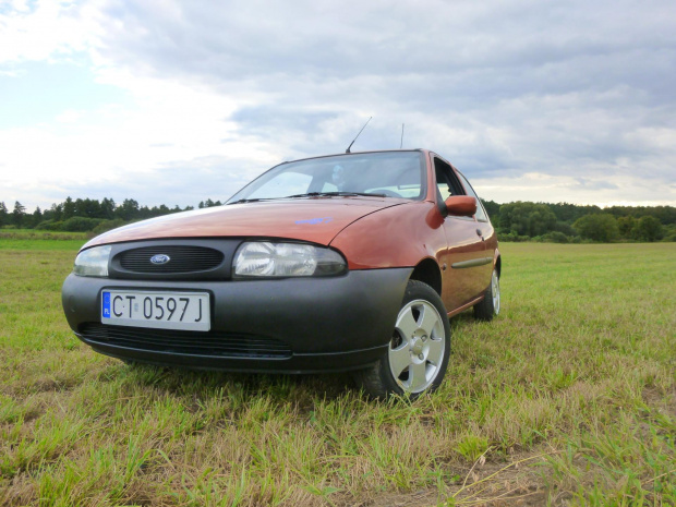 Fiesta MK4 by Elvis