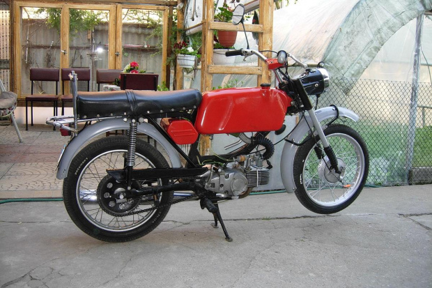 1981-1983