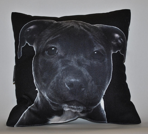 88fe1651233538e3med.jpg&key=e8c279f53ed6